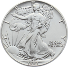 USA 1 Dollar 1989 Silver Eagle - 1 Unze Feinsilber